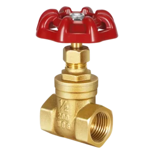 Brass Gate Valves