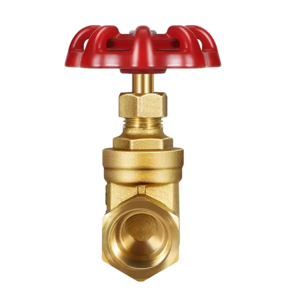 Brass Gate Valves - Imagen 3