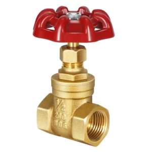 Brass Gate Valves