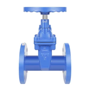 NRS Cast Iron Gate Valves